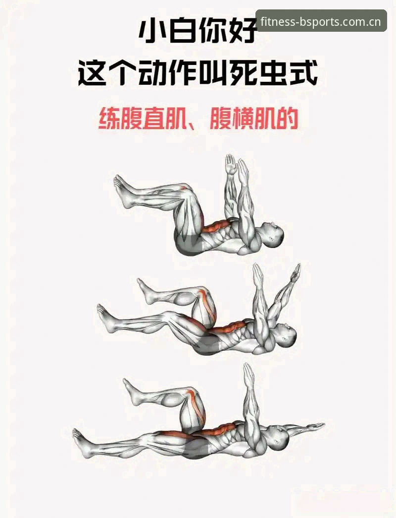 必一健身最新版怎么下载 必一健身最新版下载指南:版本更新、安装步骤与常见问题详解